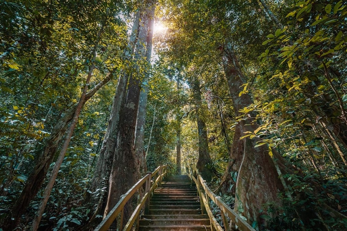 Brunei2
